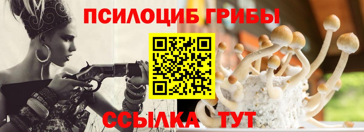 Галлюциногенные грибы Psilocybine cubensis Печора