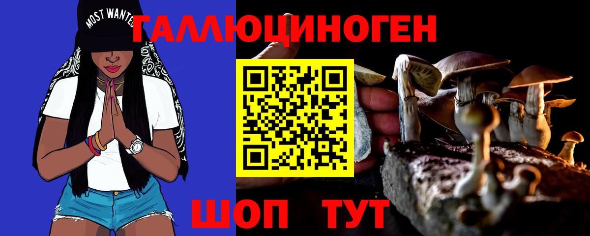 Печора  Псилоцибиновые грибы MAGIC MUSHROOMS  Вход с VPN 